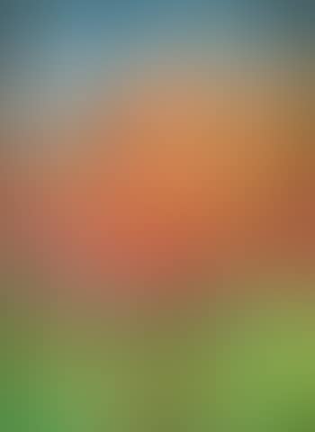 Autumn woods (preview)