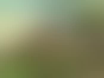 Pemandangan (Landscape) (preview)