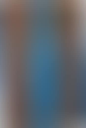 Untitled (canopy painting: blue and orange V) (preview)