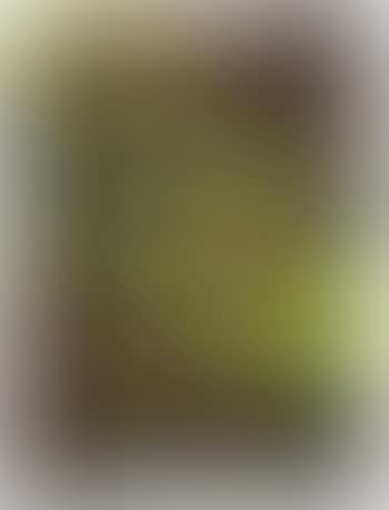 Untitled (SK-DV) from the series CAMOUFLAGE (preview)
