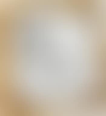 I wanted wine women and song… (preview)