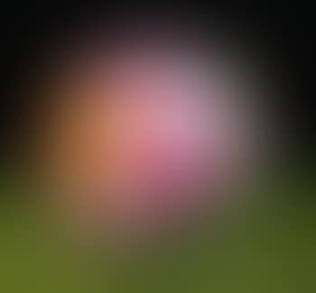 Flower Ball (preview)
