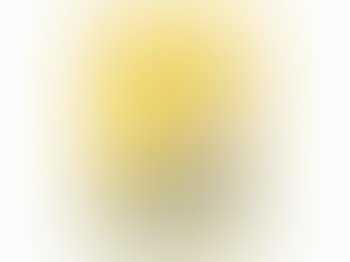 Sitting With Snake (preview)
