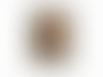 Self Portrait/Lincoln Center (preview)