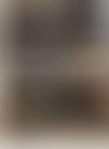 Untitled (preview)