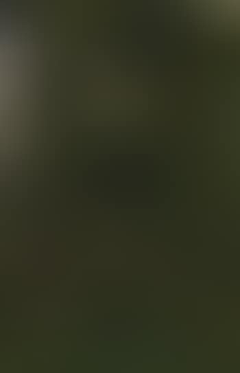 Eichwald (preview)