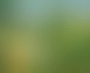 Genets en Toscane (preview)