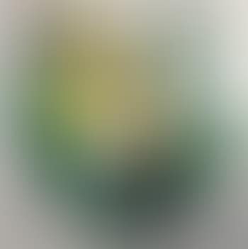 Still Life (preview)