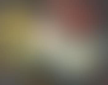 Oiseaux (Birds) (preview)
