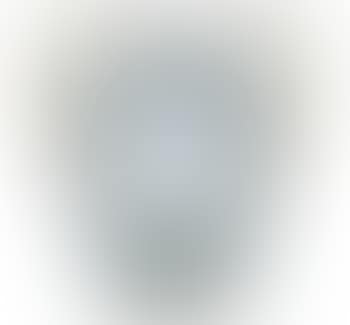 A silver mounted vase (preview)
