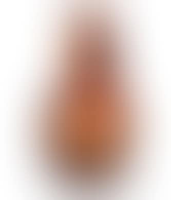 A vase decorated with chrysanthemums (preview)