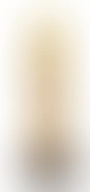 A slender vase (preview)