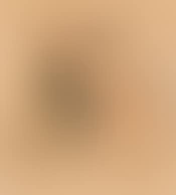 Der Streit (preview)