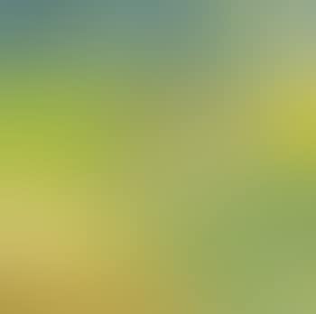 Summer Fields I, Kerry (preview)