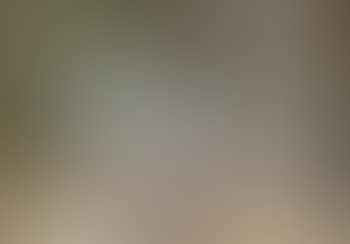 Eucalyptus trees; Landscape with cottage (preview)