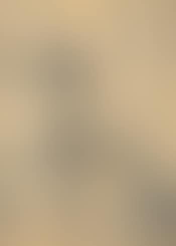 Detail de Dijon (preview)