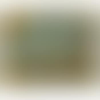 Oiseau cosmique (preview)
