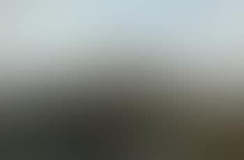 Grouse in a watery moorland hollow (preview)