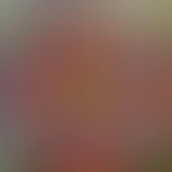 [Untitled] (preview)