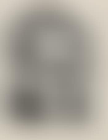 Arno Holz (preview)