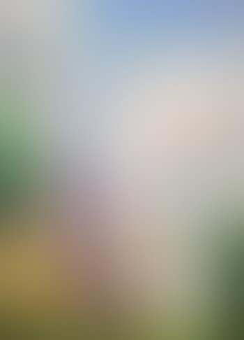 Vue de ruines (preview)