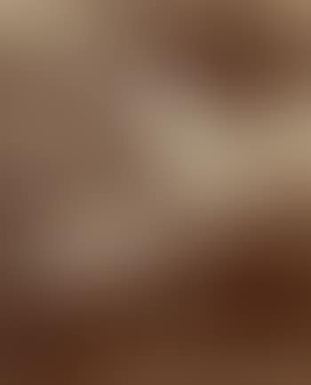 Capucines (preview)