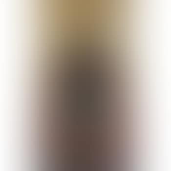 Portrait of a Royal Court Lady (preview)