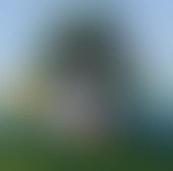 Primavera (preview)