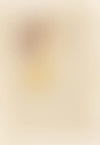 Pal (preview)