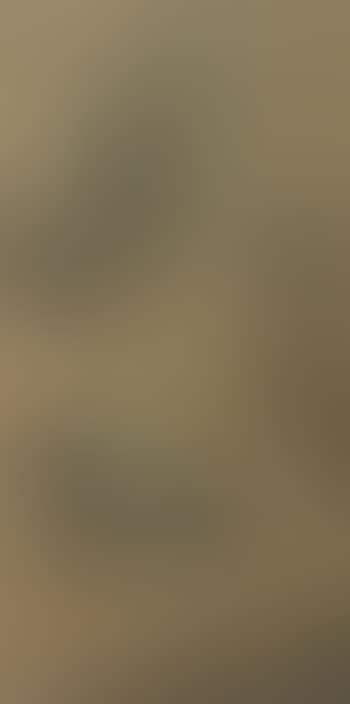 A painting of a Foreigner (preview)