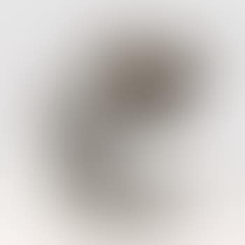 Cinghiale (preview)