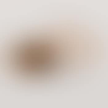 Sculpture (preview)