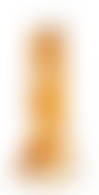 Vase with mallow decor (preview)