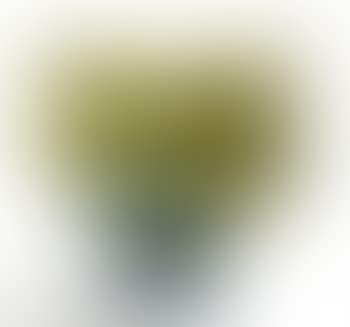 Ovale vase auf standfuß (preview)