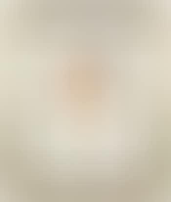 I Negligenti (preview)