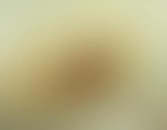 Pheasant (Phasianus Colchicus) (preview)
