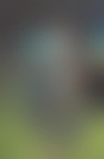 Head #15 (preview)