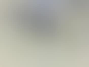 Virginia Landscape (preview)