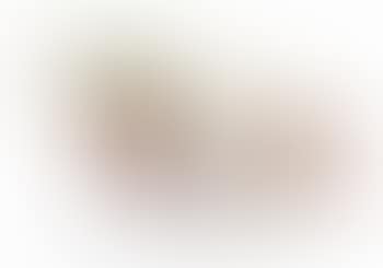 Study for a Sculpture, Version Four by Coosje van Bruggen (preview)