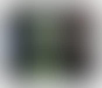 Night Landscape (preview)
