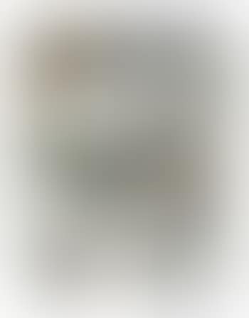 Untitled (preview)