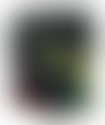 Untitled (preview)