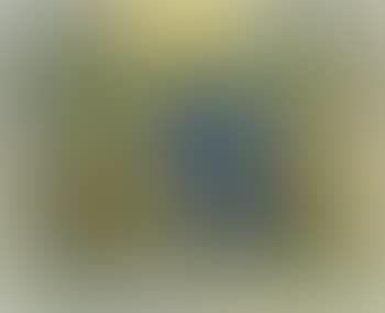 Metamorphosis (preview)