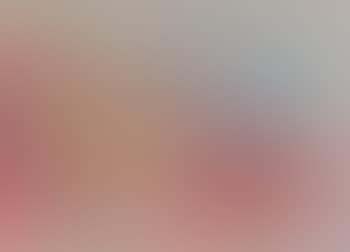 [Untitled] (preview)