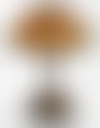 Crocus Table Lamp (preview)