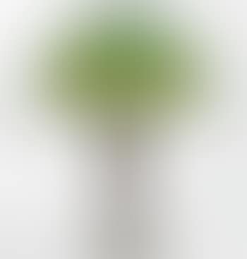 Vine Border Table Lamp (preview)