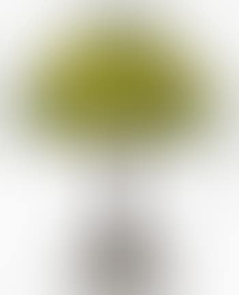 Daffodil Table Lamp (preview)