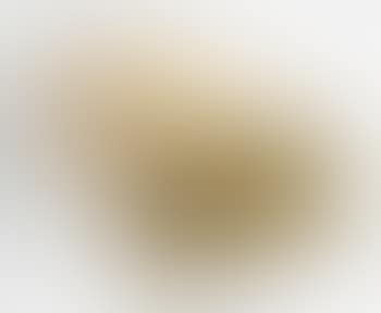 Daybed (preview)