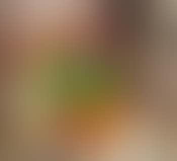 Still life with potted plant and fruits on a table (preview)