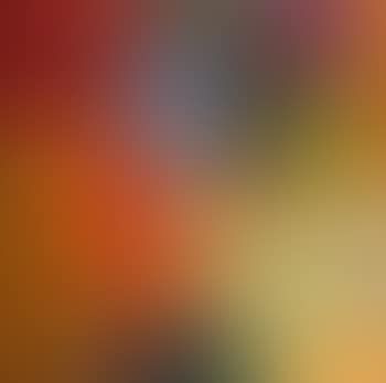 Still life (preview)